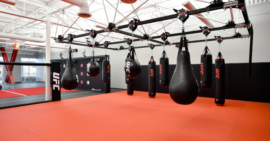 The UFC Apex is Now the Meta Apex